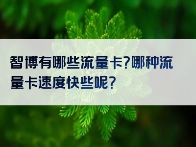 智博有哪些流量卡？哪种流量卡速度快些呢？