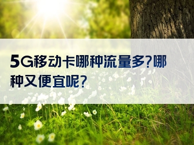 5G移动卡哪种流量多？哪种又便宜呢？