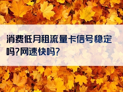 消费低月租流量卡信号稳定吗？网速快吗？