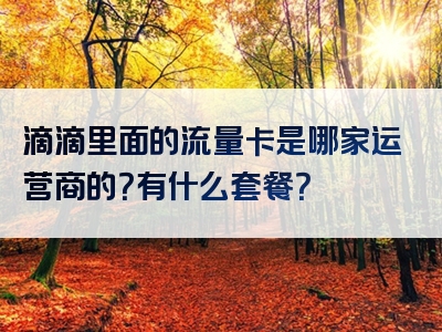 滴滴里面的流量卡是哪家运营商的？有什么套餐？