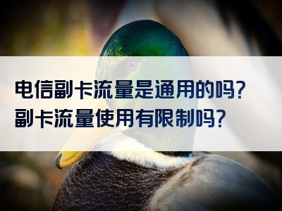 电信副卡流量是通用的吗？副卡流量使用有限制吗？