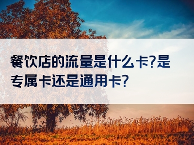 餐饮店的流量是什么卡？是专属卡还是通用卡？