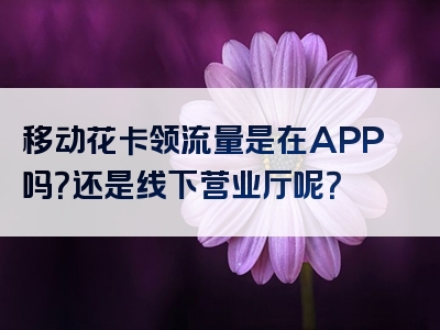 移动花卡领流量是在APP吗？还是线下营业厅呢？