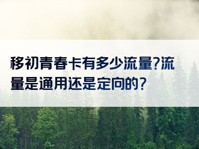 移初青春卡有多少流量？流量是通用还是定向的？