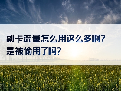 副卡流量怎么用这么多啊？是被偷用了吗？