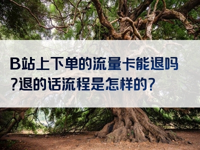 B站上下单的流量卡能退吗？退的话流程是怎样的？