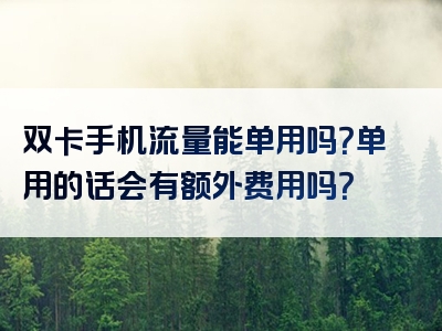双卡手机流量能单用吗？单用的话会有额外费用吗？