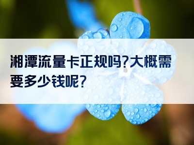 湘潭流量卡正规吗？大概需要多少钱呢？