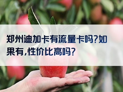 郑州迪加卡有流量卡吗？如果有，性价比高吗？