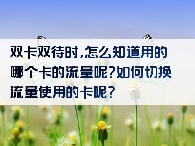 双卡双待时，怎么知道用的哪个卡的流量呢？如何切换流量使用的卡呢？