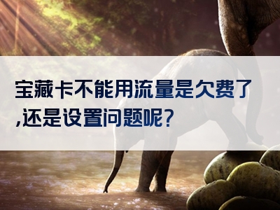 宝藏卡不能用流量是欠费了，还是设置问题呢？
