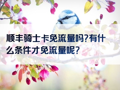 顺丰骑士卡免流量吗？有什么条件才免流量呢？
