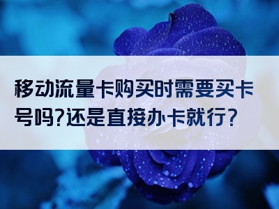 移动流量卡购买时需要买卡号吗？还是直接办卡就行？