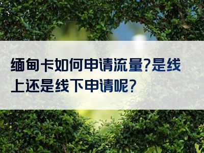 缅甸卡如何申请流量？是线上还是线下申请呢？