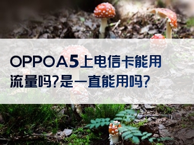 OPPOA5上电信卡能用流量吗？是一直能用吗？