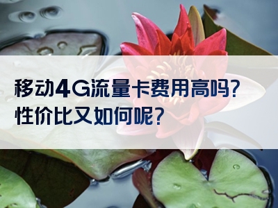 移动4G流量卡费用高吗？性价比又如何呢？