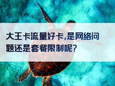 大王卡流量好卡，是网络问题还是套餐限制呢？