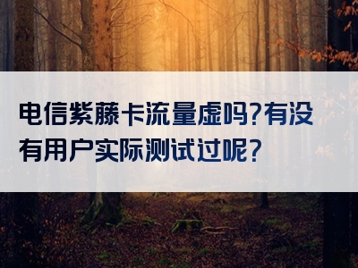 电信紫藤卡流量虚吗？有没有用户实际测试过呢？