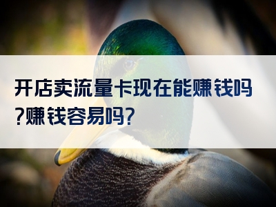 开店卖流量卡现在能赚钱吗？赚钱容易吗？