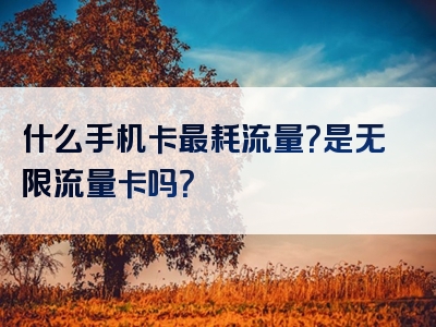 什么手机卡最耗流量？是无限流量卡吗？