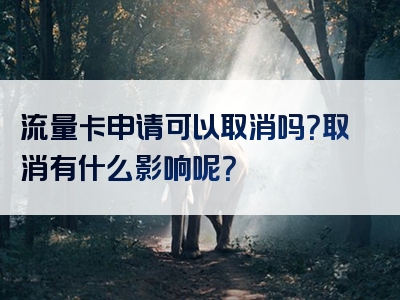 流量卡申请可以取消吗？取消有什么影响呢？