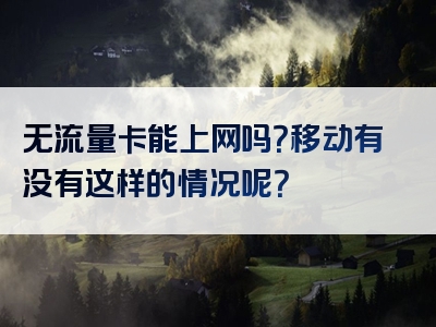 无流量卡能上网吗？移动有没有这样的情况呢？