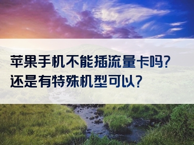 苹果手机不能插流量卡吗？还是有特殊机型可以？