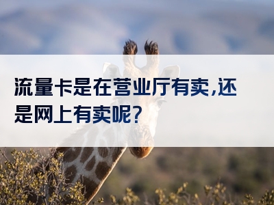 流量卡是在营业厅有卖，还是网上有卖呢？