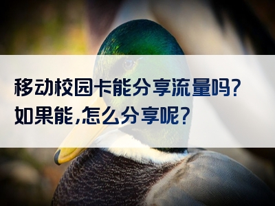移动校园卡能分享流量吗？如果能，怎么分享呢？