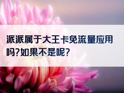 派派属于大王卡免流量应用吗？如果不是呢？