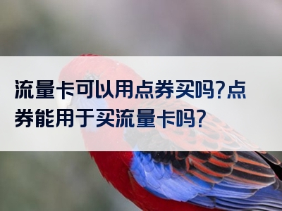 流量卡可以用点券买吗？点券能用于买流量卡吗？