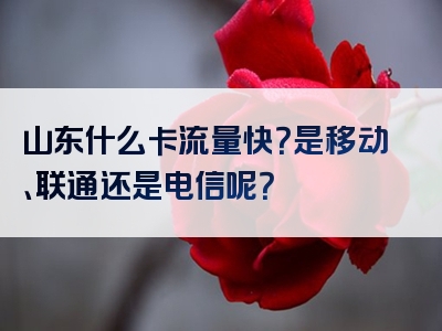 山东什么卡流量快？是移动、联通还是电信呢？