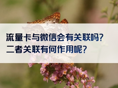 流量卡与微信会有关联吗？二者关联有何作用呢？