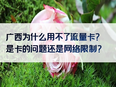 广西为什么用不了流量卡？是卡的问题还是网络限制？