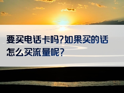 要买电话卡吗？如果买的话怎么买流量呢？