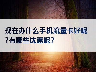 现在办什么手机流量卡好呢？有哪些优惠呢？