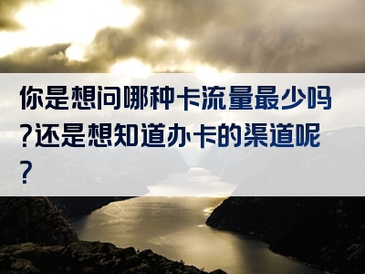 你是想问哪种卡流量最少吗？还是想知道办卡的渠道呢？