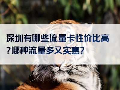 深圳有哪些流量卡性价比高？哪种流量多又实惠？