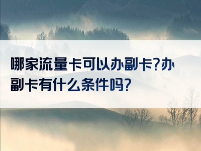 哪家流量卡可以办副卡？办副卡有什么条件吗？