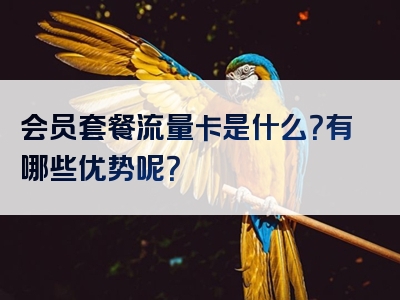会员套餐流量卡是什么？有哪些优势呢？