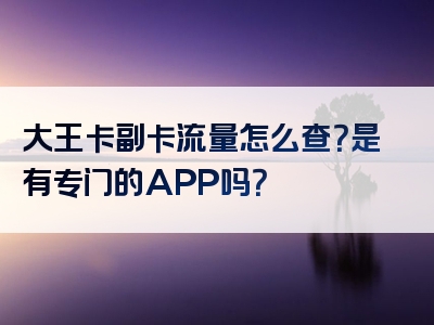 大王卡副卡流量怎么查？是有专门的APP吗？