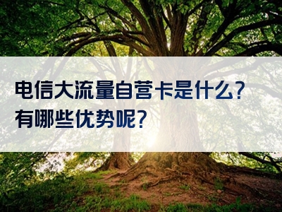 电信大流量自营卡是什么？有哪些优势呢？