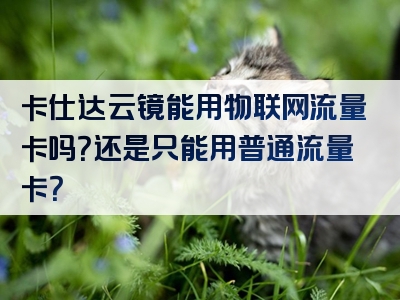 卡仕达云镜能用物联网流量卡吗？还是只能用普通流量卡？