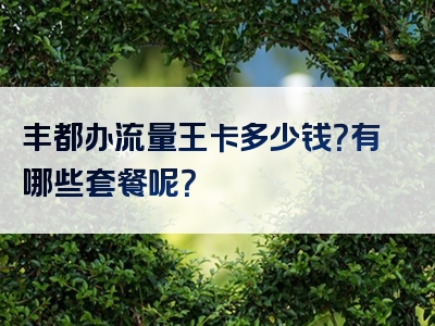 丰都办流量王卡多少钱？有哪些套餐呢？