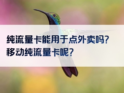 纯流量卡能用于点外卖吗？移动纯流量卡呢？