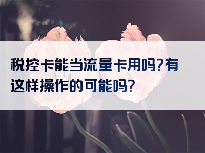 税控卡能当流量卡用吗？有这样操作的可能吗？