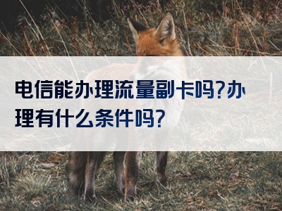 电信能办理流量副卡吗？办理有什么条件吗？