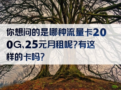 你想问的是哪种流量卡200G、25元月租呢？有这样的卡吗？