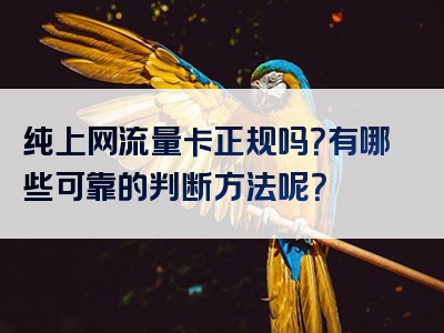 纯上网流量卡正规吗？有哪些可靠的判断方法呢？
