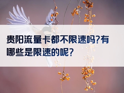 贵阳流量卡都不限速吗？有哪些是限速的呢？
